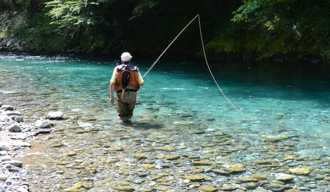 La pêche de nouveau autorisée le 11/05 !