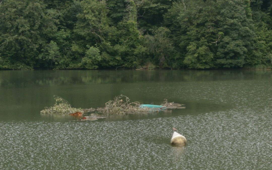 Barque perdue en amont du barrage de Grosbois 